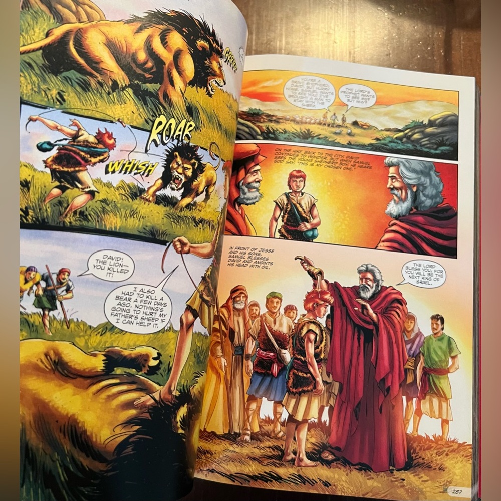 The Action Bible – Graphic Novel Bible- hardcover - Picture 3 of 5